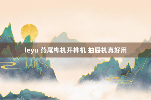 leyu 燕尾榫机开榫机 抽屉机真好用