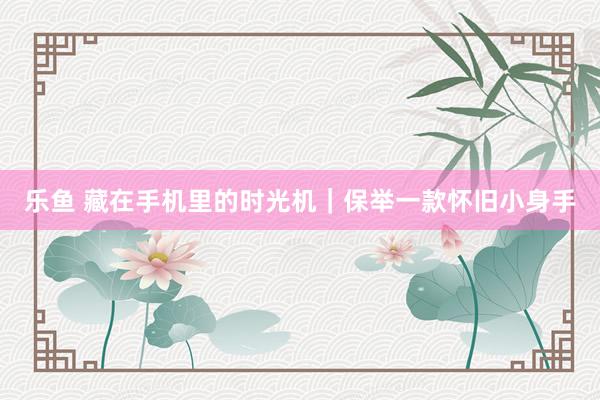 乐鱼 藏在手机里的时光机｜保举一款怀旧小身手