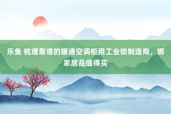 乐鱼 梳理靠谱的暖通空调柜用工业锁制造商，哪家居品值得买
