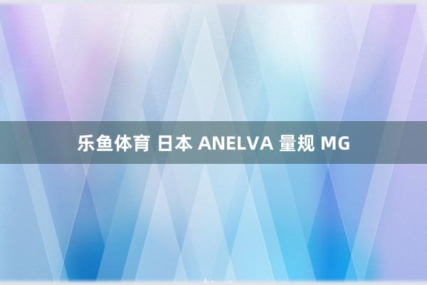 乐鱼体育 日本 ANELVA 量规 MG