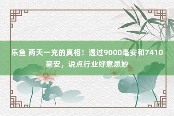 乐鱼 两天一充的真相！透过9000毫安和7410毫安，说点行业好意思妙