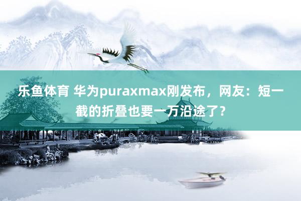 乐鱼体育 华为puraxmax刚发布，网友：短一截的折叠也要一万沿途了？