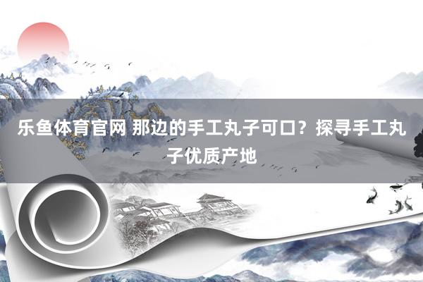 乐鱼体育官网 那边的手工丸子可口？探寻手工丸子优质产地