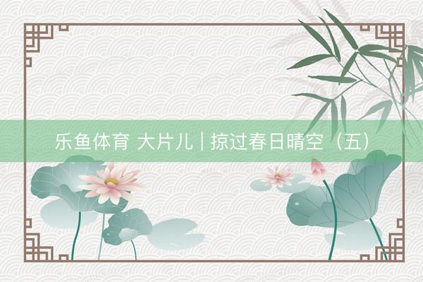 乐鱼体育 大片儿 | 掠过春日晴空（五）