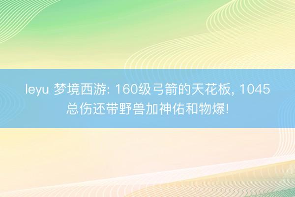 leyu 梦境西游: 160级弓箭的天花板， 1045总伤还带野兽加神佑和物爆!